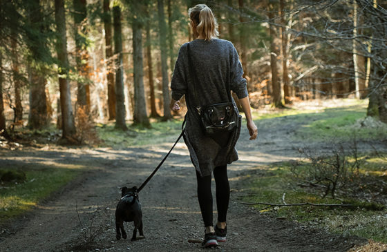 You Might Be Ruining Your Dog’s Walk, Here is how to fix it