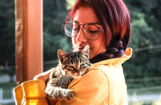 What Does CBD Do For Cats 101?