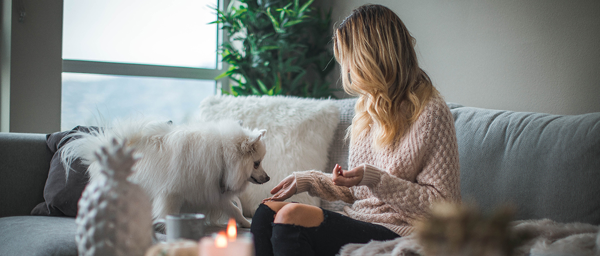 blonde woman sitting on the couch giving a white dog a treat