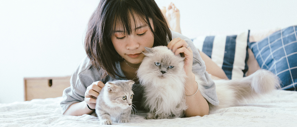 woman laying on bed with two small white cats
